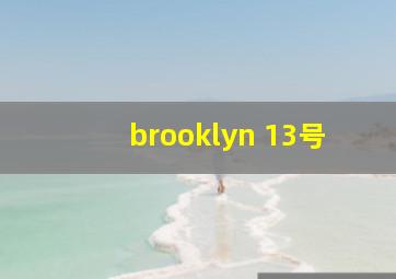 brooklyn 13号